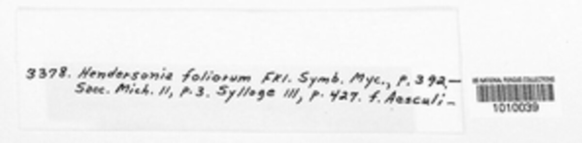 Coryneum foliorum image